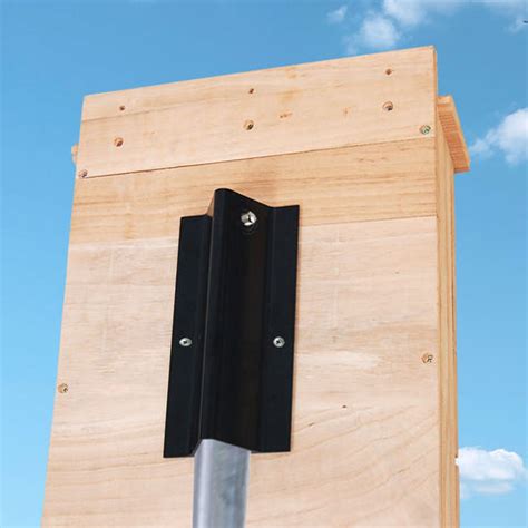 mounting a bat house metal pole|where to locate bat house.